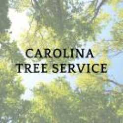 Carolina Tree Services