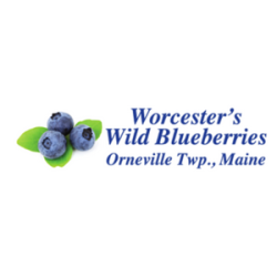 Worcester's Wild Blueberries