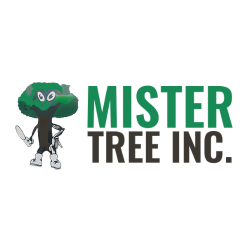 Mister Tree Inc