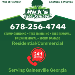Rick's Tree Removal & Stump Grinding LLC