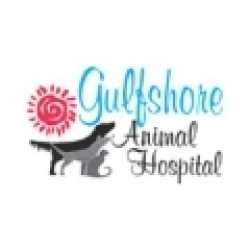 Gulfshore Animal Hospital