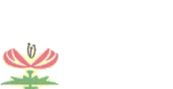 Flowers & Interiors