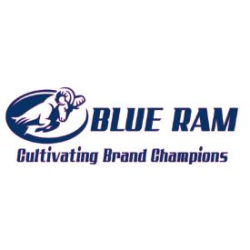 Blue Ram Inc