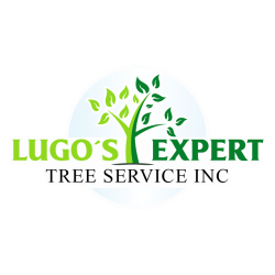 Lugo's Expert Tree Services Inc