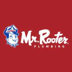 Mr Rooter