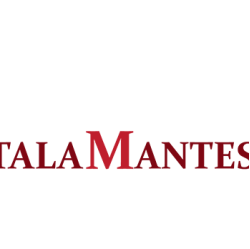 Talamantes Immigration Law Firm