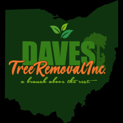 Daves Tree Removal Inc.