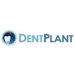 Dent Plant of Framingham Llc