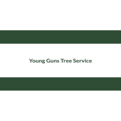 Young Guns Tree Service