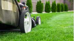 Easy Green Lawn Service LLC