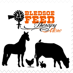 Bledsoe Feed & Boutique