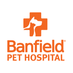 Banfield Pet Hospital - OPENING SOON!