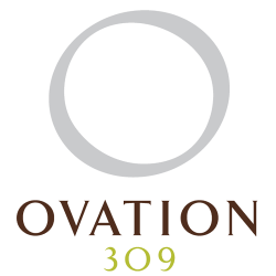 Ovation 309
