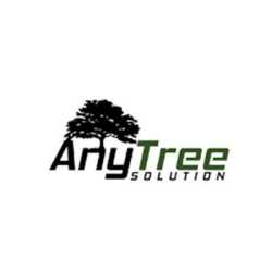AnyTree Solution