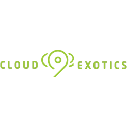 Cloud 9 Exotics