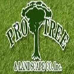 Pro Tree & Landscape Co Inc.