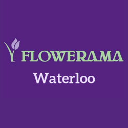 Flowerama Waterloo