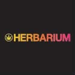Herbarium Weed Dispensary Needles Marijuana