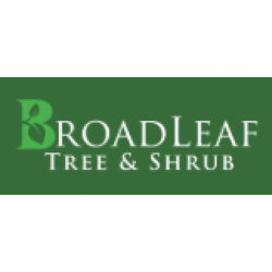 BroadLeaf Tree and Shrub: Durham Tree Removal, Tree Pruning, and Shrub Trimming