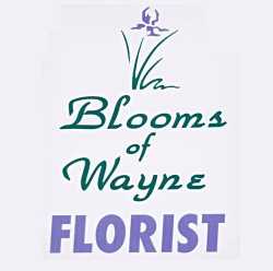 Blooms Of Wayne