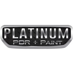 Platinum PDR Plus Paint