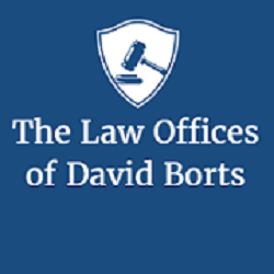 Law Offices of David Borts