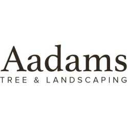 Aadams Tree Service - Tree Removal, Trimming, Stump Grinding in Woodinville WA