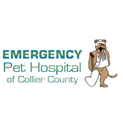 Emergency Pet Hospital Of Collier County