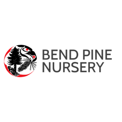 Bend Pine Nursery LLC