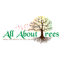 All About Trees LLC