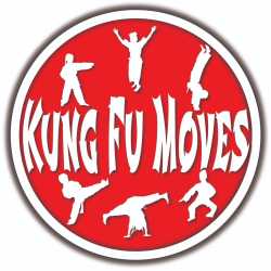 Kung Fu Moves