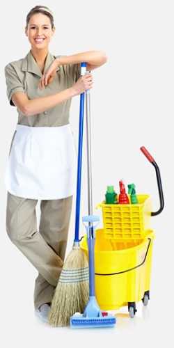 TMS Cleaning Services Inc. - Carpet Rug Janitorial & Deep Cleaning Services