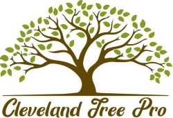 Cleveland TN Tree Pro