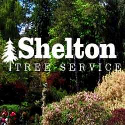 Shelton Tree Service