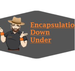 Encapsulations Down Under: Crawl Space Repair and Mold Remediation