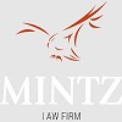 Mintz Law Firm, LLC - Personal Injury & Car Accident Lawyers