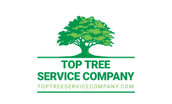 Top Tree Service Company - Tree Trimming, Stump Removal, Land Clearing, Decatur, GA