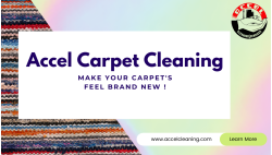 Accel Carpet, Tile and Hardwood Cleaning-Bellevue
