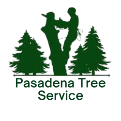 Pasadena Tree Service