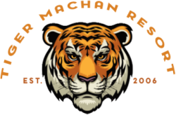 Ranthambore Tiger Machan Resort