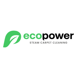 EcoPower Steam Carpet Cleaning