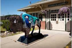 Custer Area Chamber of Commerce & Visitors Bureau