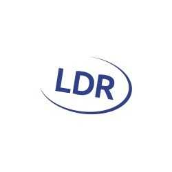 LDR Web Design Agency