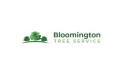 Bloomington Tree Service Pros