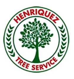 Henriquez Tree Service