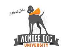 Wonder Dog University