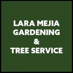 Lara Mejia Gardening & Tree Service