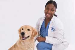 North Shore Veterinary Clinic - Aloha Affordable Veterinary Services