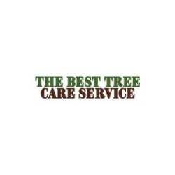 The Best Tree Care Service