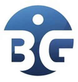 BIGinsurance.com